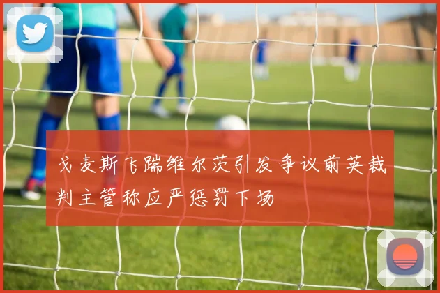 戈麦斯飞踹维尔茨引发争议前英裁判主管称应严惩罚下场