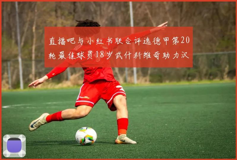直播吧与小红书联合评选德甲第20轮最佳球员18岁武什科维奇助力汉堡逼平拜仁