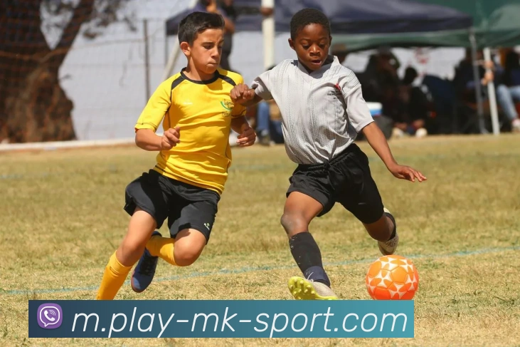 MK体育APP 封面图